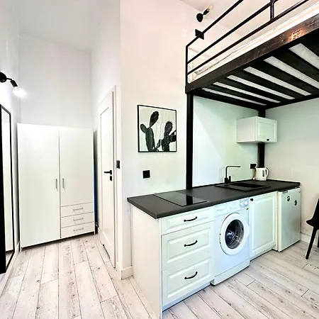 Apartment Copernik